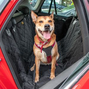 A-Pce 600D Heavy Duty Dog Car Seat Cover for Back Seat,2025