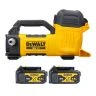DeWalt DCE050 18V XR Cordless Brushless Transfer Pump with 2 x 4Ah Batteries